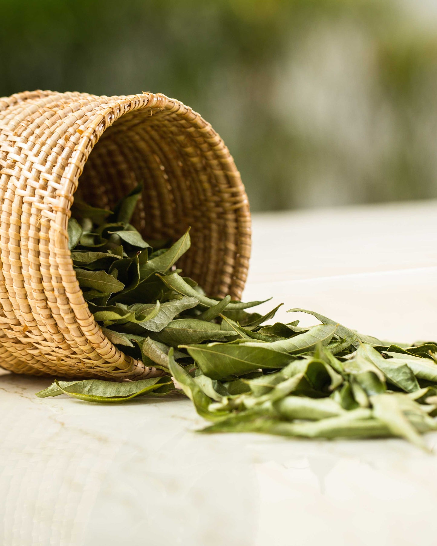 Ceylon Curry Leaves