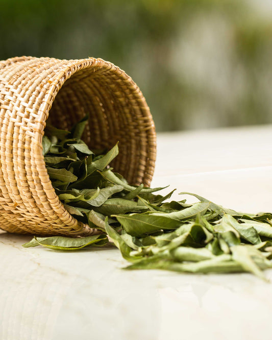 Ceylon Curry Leaves
